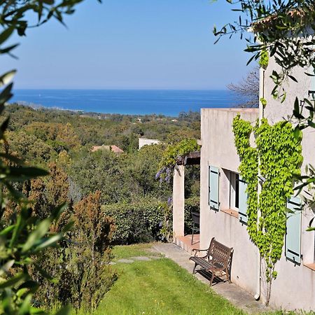Domaine Punta Della Guardia Villa Vue Mer Dans Nature Protegee, Plage A 1,5 Km 切尔维奥内 外观 照片
